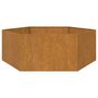 Voir la diapositive 5 : VIDAXL Jardiniere Rouille 138x120x45 cm Acier corten