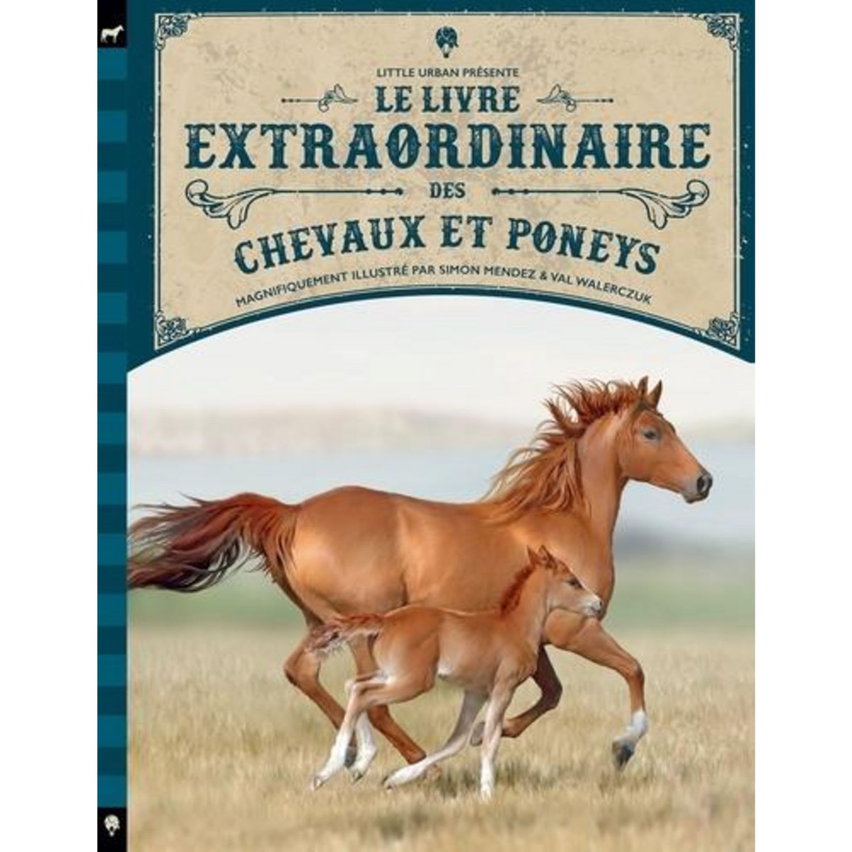 LE LIVRE EXTRAORDINAIRE DES CHEVAUX ET PONEYS, Mendez Simon