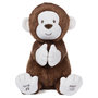 Voir la diapositive 3 : SPIN MASTER Clappy le singe animé Gund