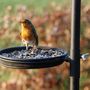 Voir la diapositive 3 : ESSCHERT DESIGN Esschert Design Mangeoire a oiseaux FB150
