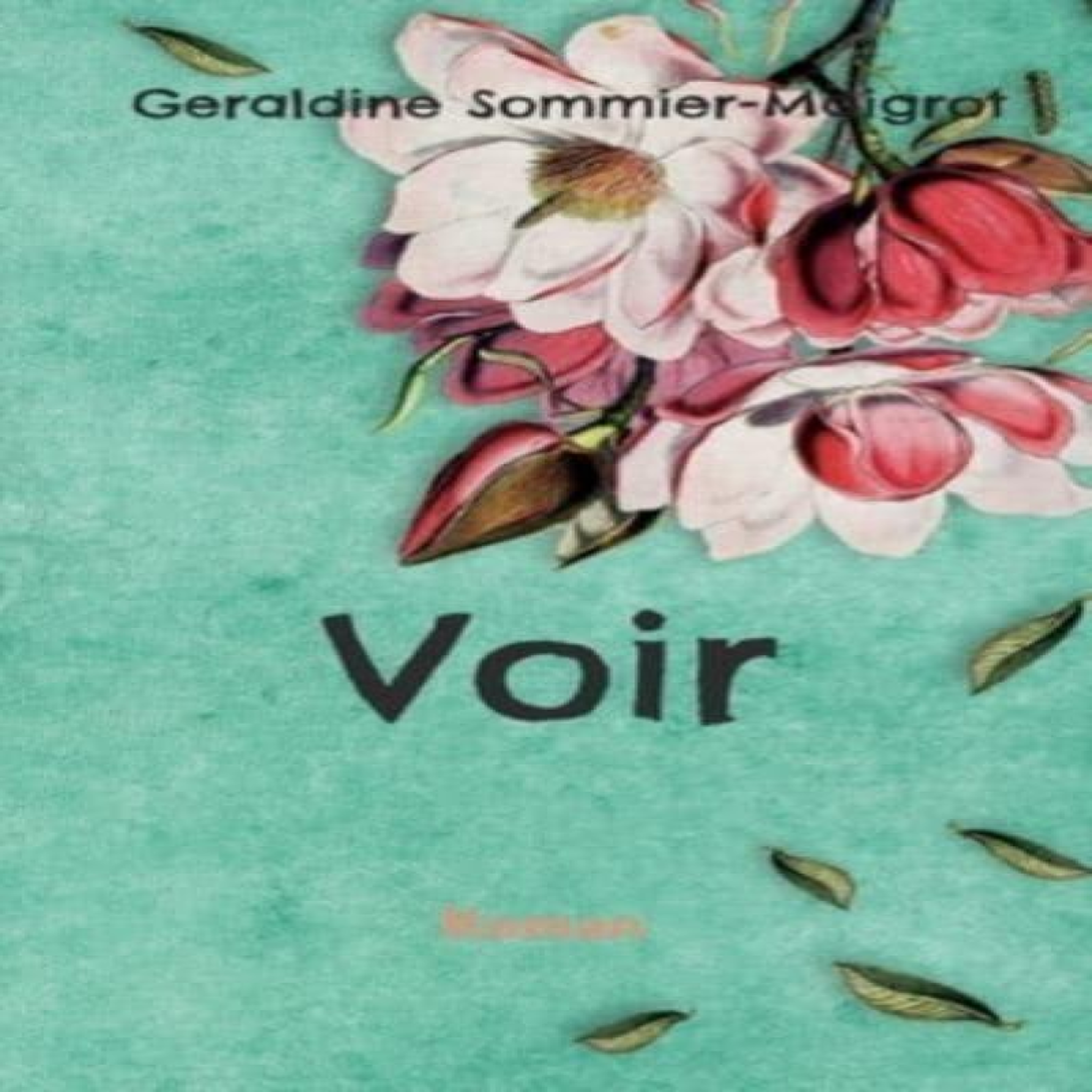LIVRES Voir - Geraldine Sommier-Maigrot