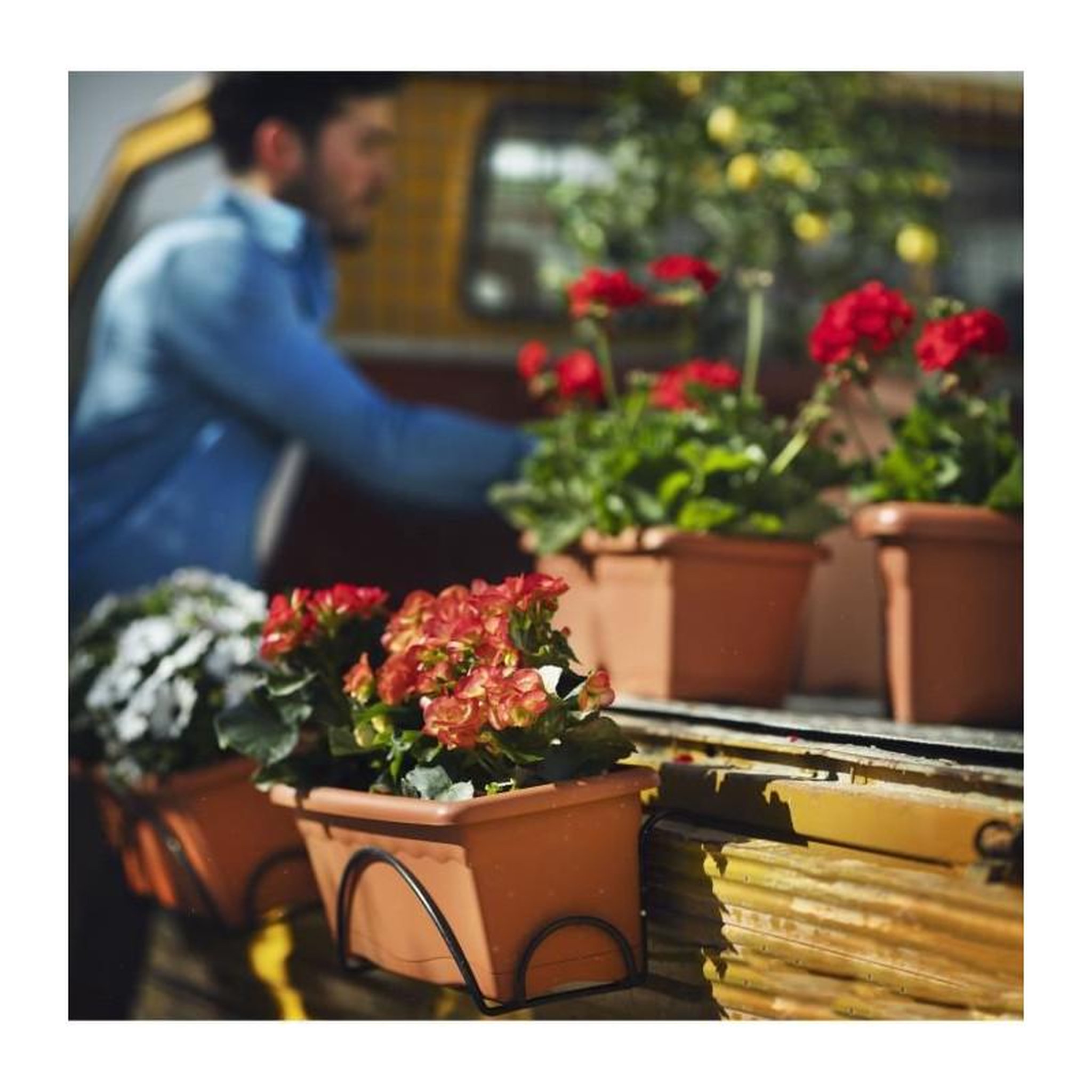 Voir la diapositive 2 : PLASTIKEN PLASTIKEN Jardiniere 50x20cm avec plateau et support balcon - Terracotta