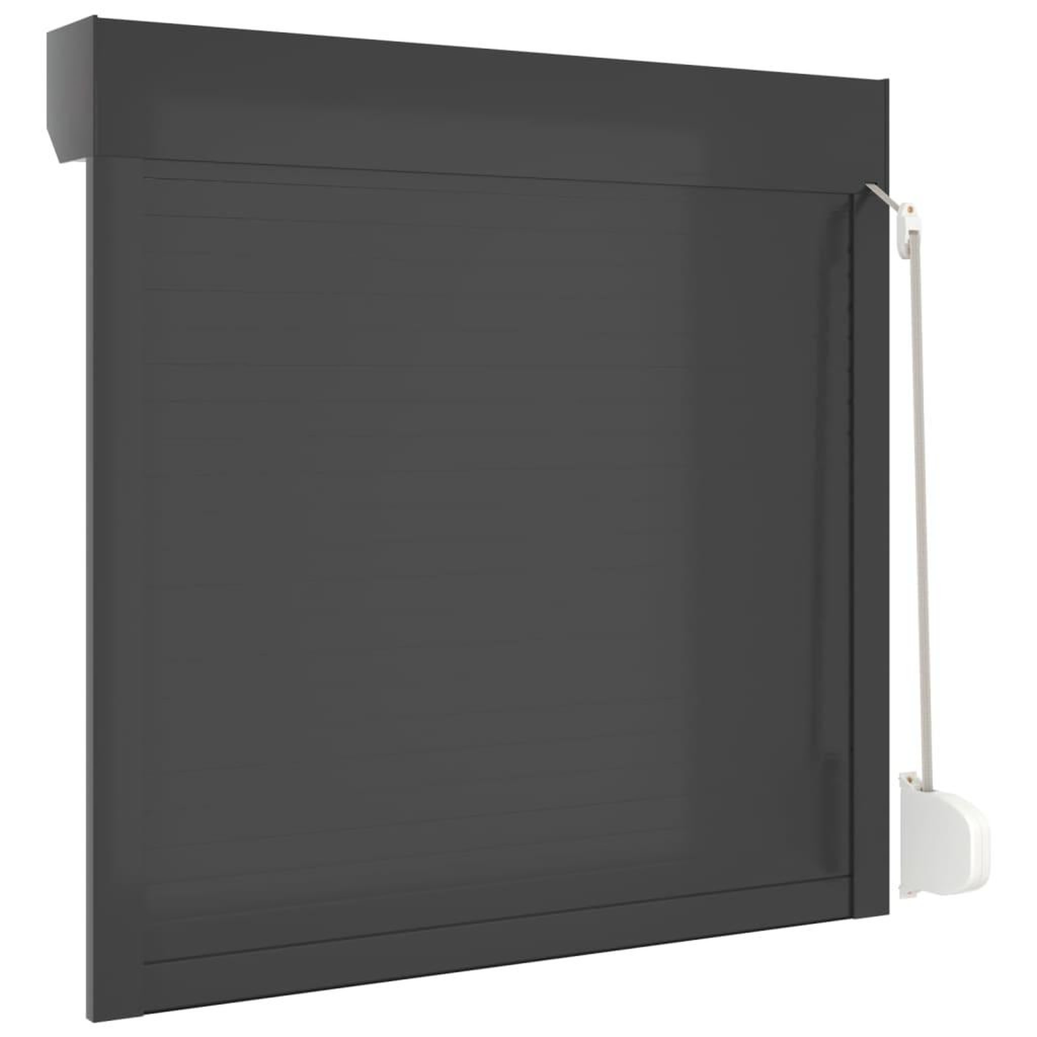 Voir la diapositive 5 : VIDAXL Volet roulant aluminium 100x100 cm anthracite
