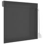 Voir la diapositive 5 : VIDAXL Volet roulant aluminium 100x100 cm anthracite