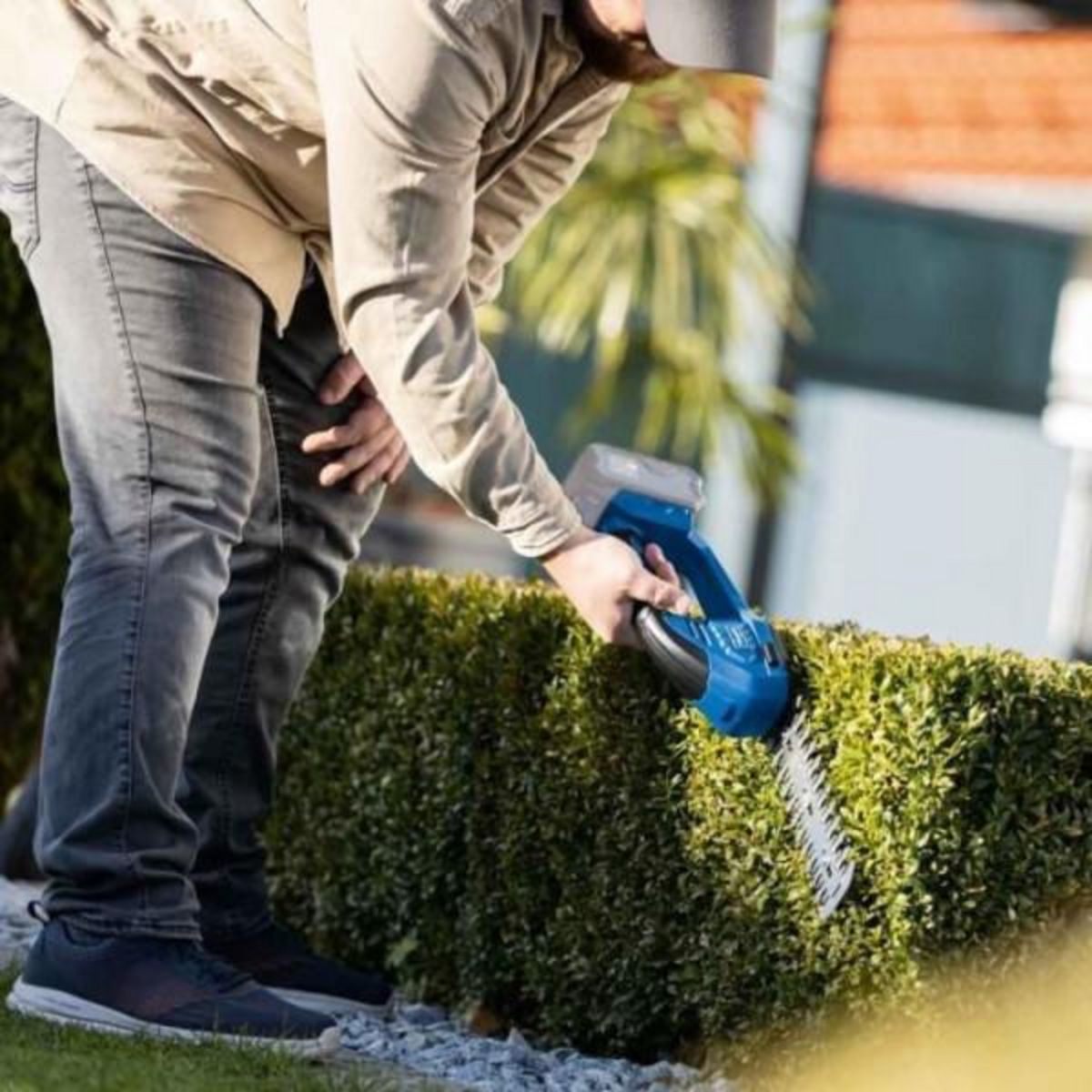 SCHEPPACH Coupes-bordures/taille-haies sans fil C-HTGS200-X - lame acier trempé - SCHEPPACH 20V IXES - sans batterie ni chargeur