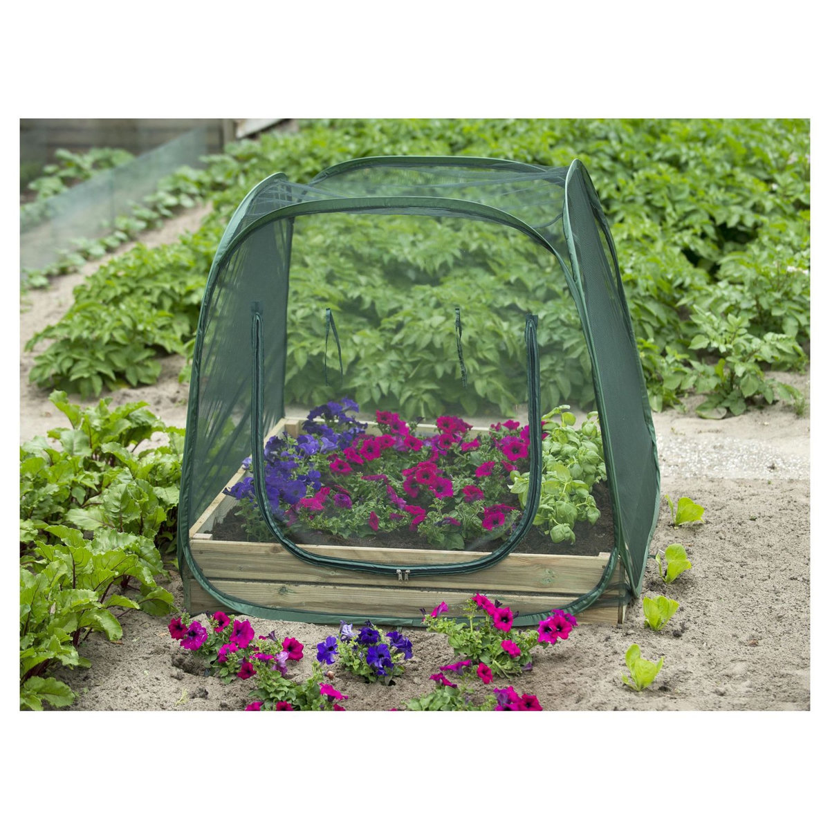 NATURE Serre anti-insectes pour carré potager Pop-up