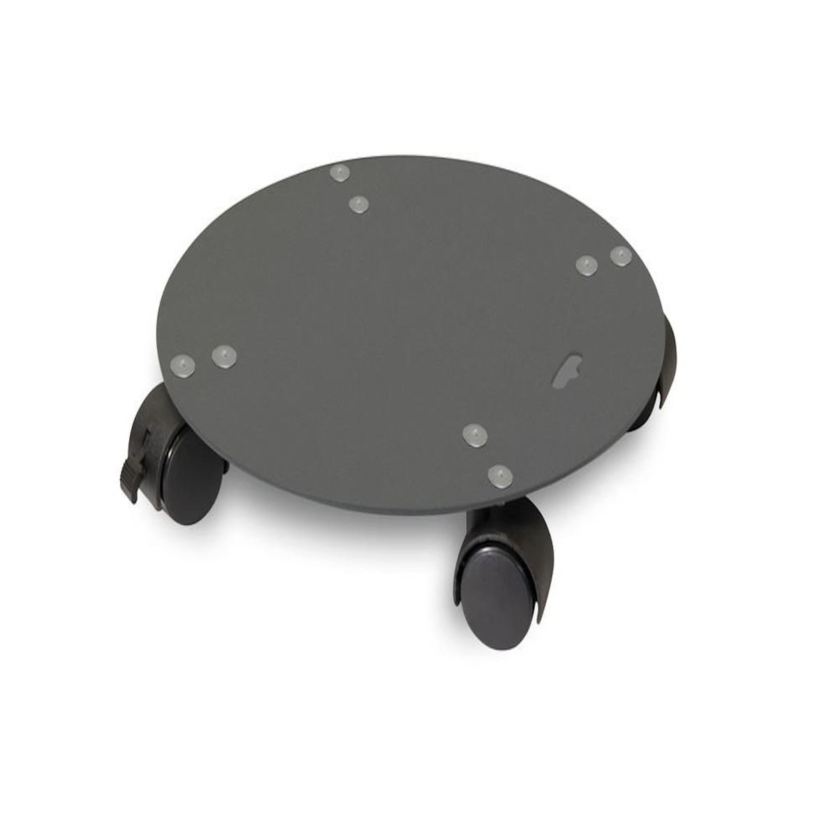 CENTRALE BRICO Roule plante disgn anthracite - 30 cm - Acier époxy