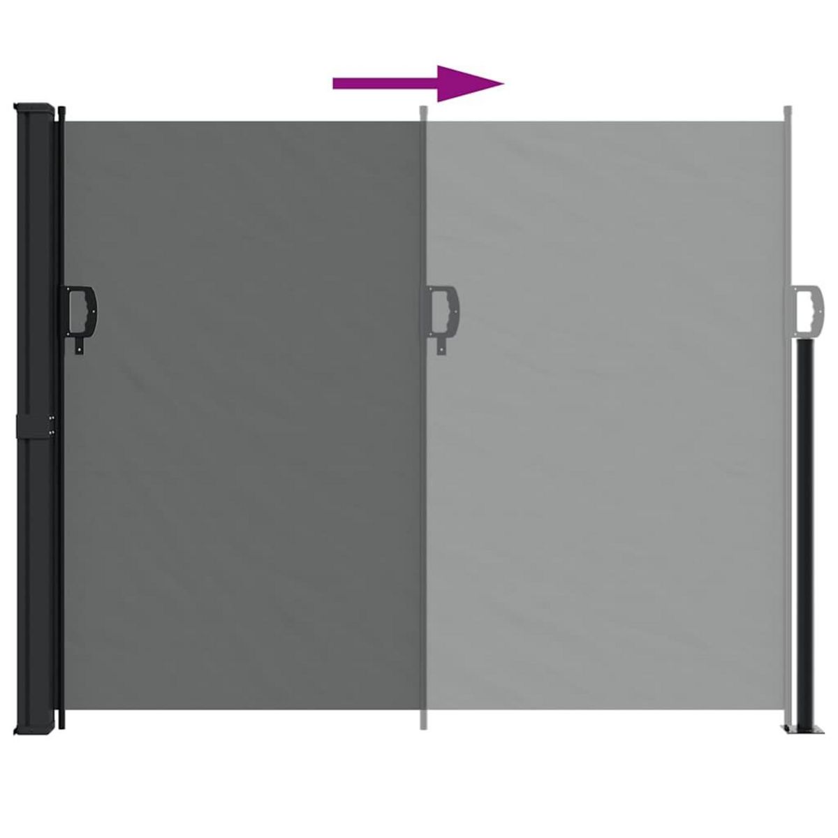 VIDAXL Auvent lateral retractable anthracite 160x300 cm