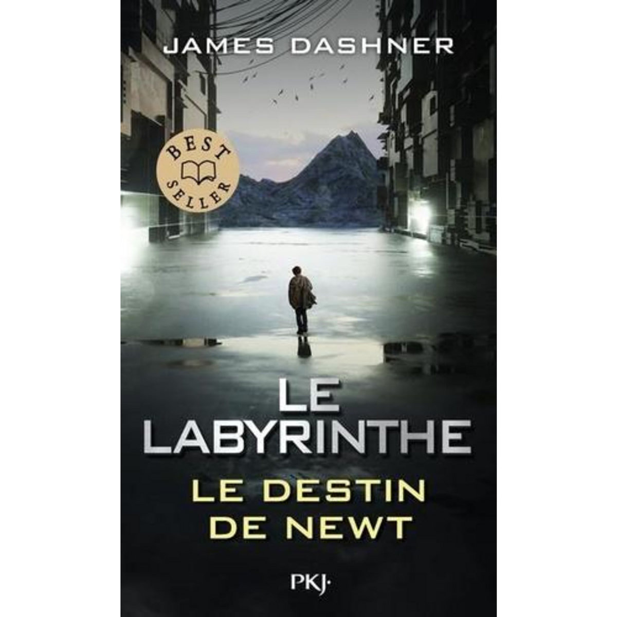LE LABYRINTHE. LE DESTIN DE NEWT, Dashner James