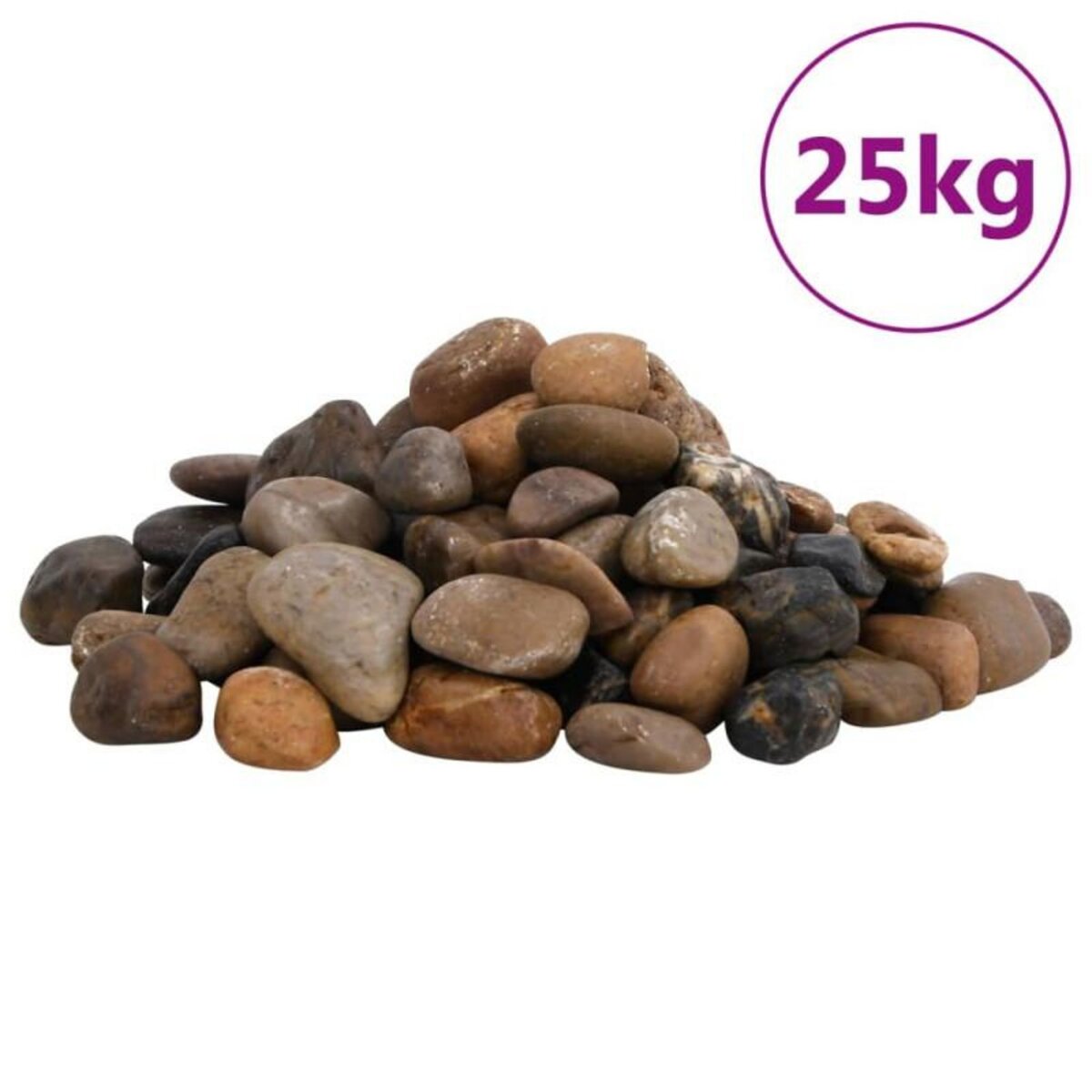 VIDAXL Galets polis 25 kg multicolores 2 5 cm