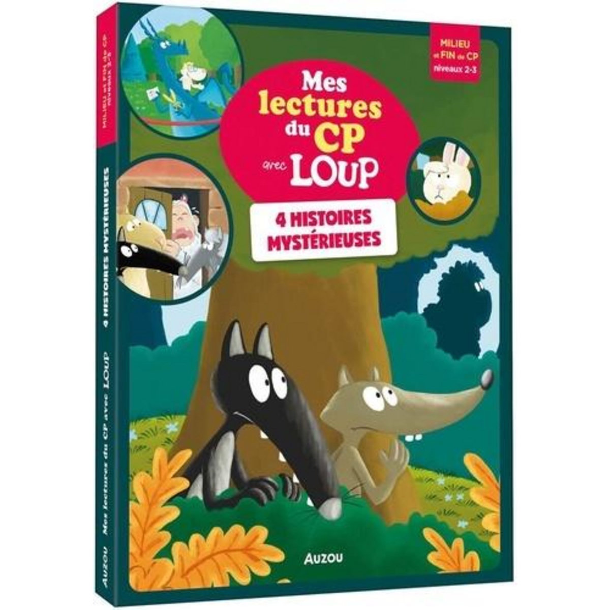 4 HISTOIRES MYSTERIEUSES. NIVEAU 2-3, Sess