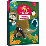 4 HISTOIRES MYSTERIEUSES. NIVEAU 2-3, Sess