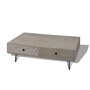 VIDAXL Table basse 100 x 60 x 35 cm gris