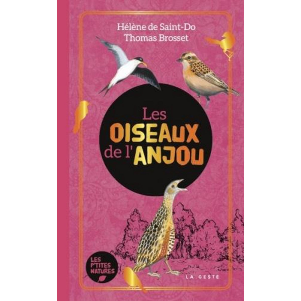 LES OISEAUX DE L'ANJOU, Saint-Do Hélène de