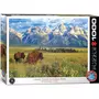 Eurographics Puzzle 1000 pièces : Parc National de Grand Teton