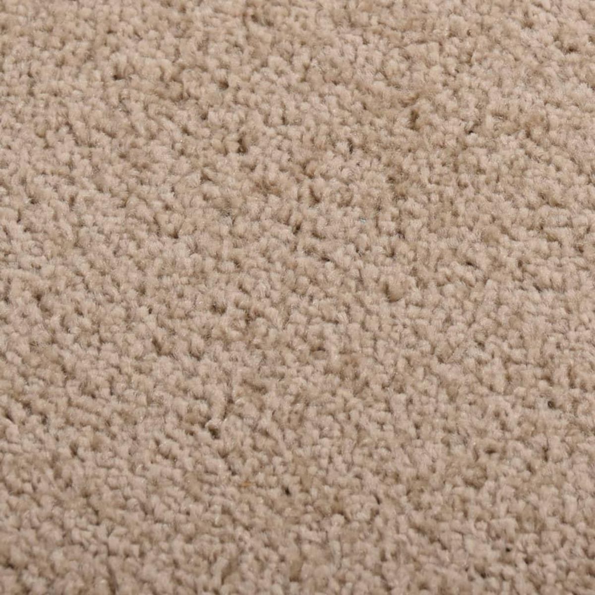 VIDAXL Tapis a poils courts 140x200 cm Marron