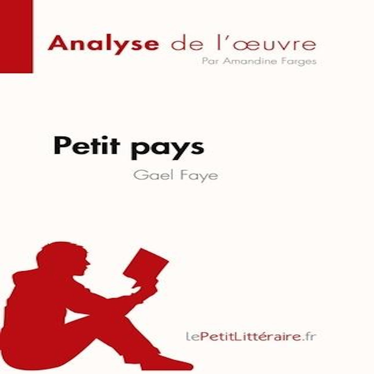 PETIT PAYS DE GAEL FAYE, Farges Amandine