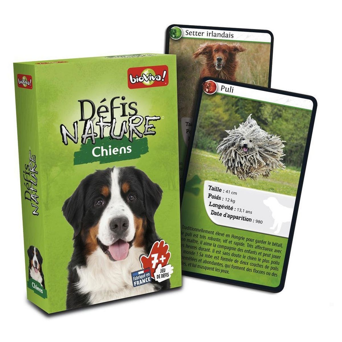 BIOVIVA Jeu Défis Nature - Chiens