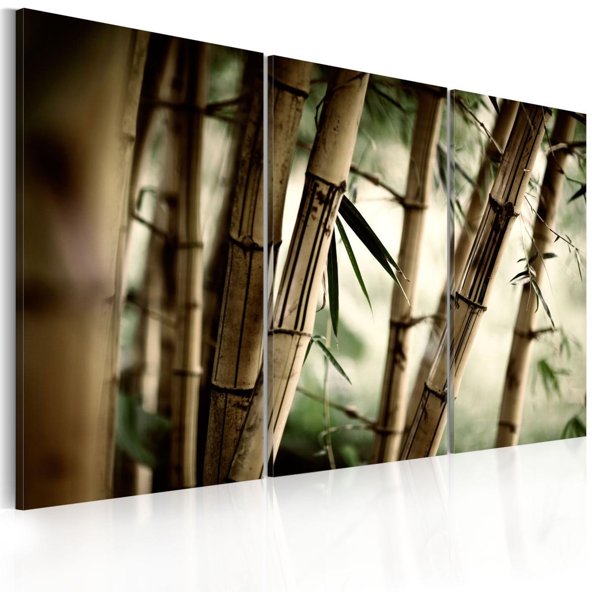 Paris Prix Tableau imprimé  forêt tropicale. Coloris disponibles : Multicolore