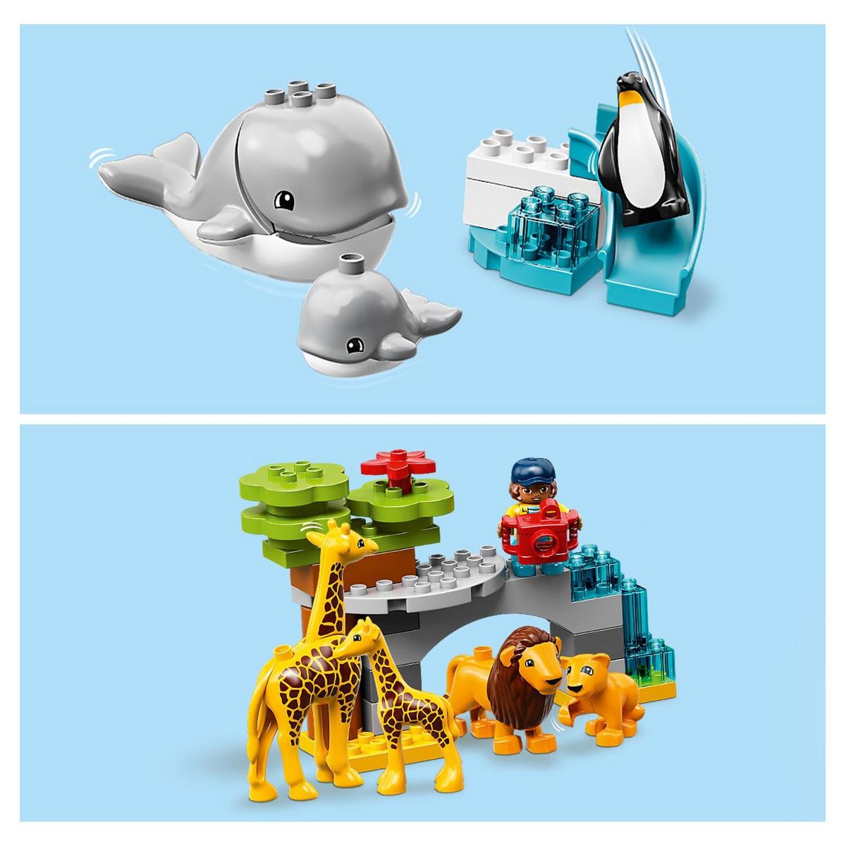 LEGO DUPLO 10907 - Les animaux du monde