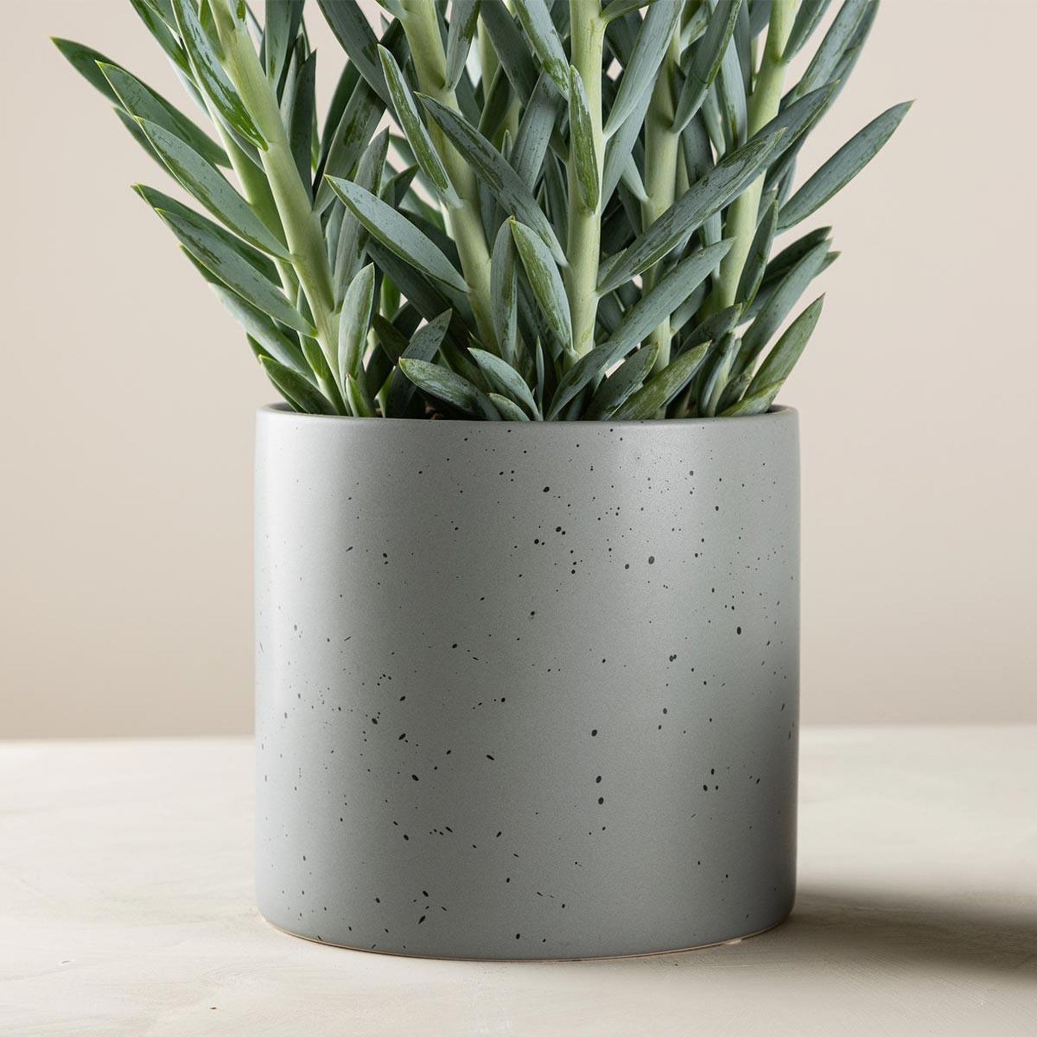 Voir la diapositive 2 : Paris Prix Pot Déco en Céramique  Sane  18cm Gris Foncé