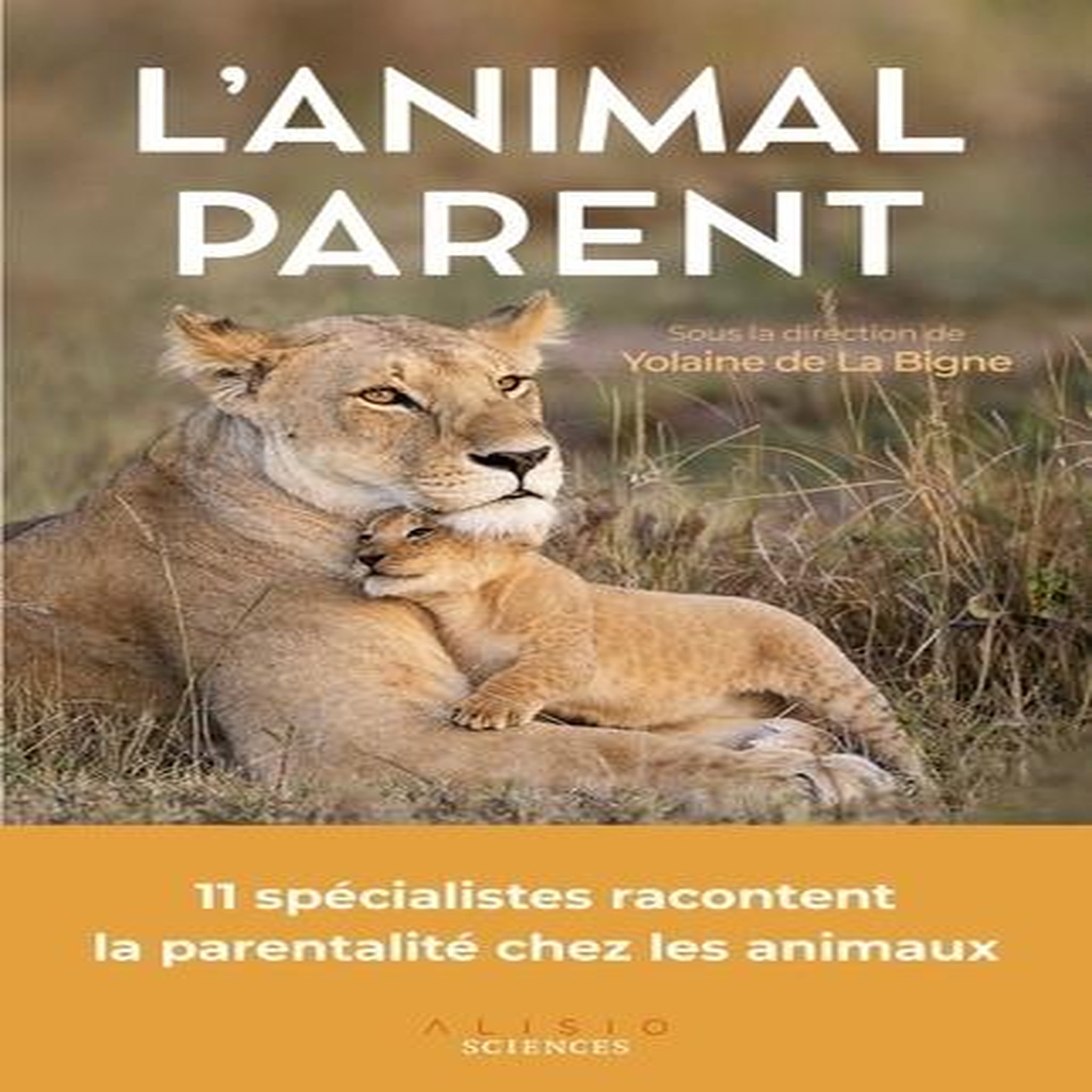 L'ANIMAL PARENT. LA PARENTALITE CHEZ LES ANIMAUX, La Bigne Yolaine de