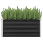 Voir la diapositive 1 : VIDAXL Lit sureleve de jardin Anthracite 100x40x45 cm Acier galvanise