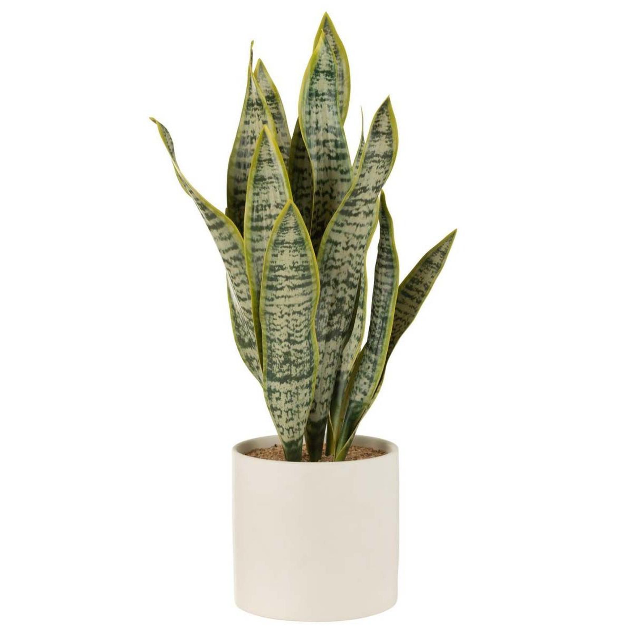 J-LINE Plante artificielle en pot  sansevieria  60cm vert