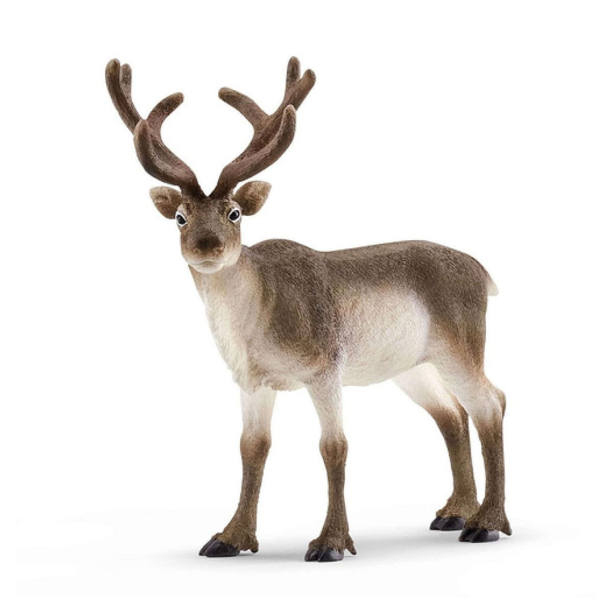 Schleich 14837 - WILD LIFE Renne