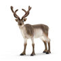 Voir la diapositive 1 : Schleich 14837 - WILD LIFE Renne