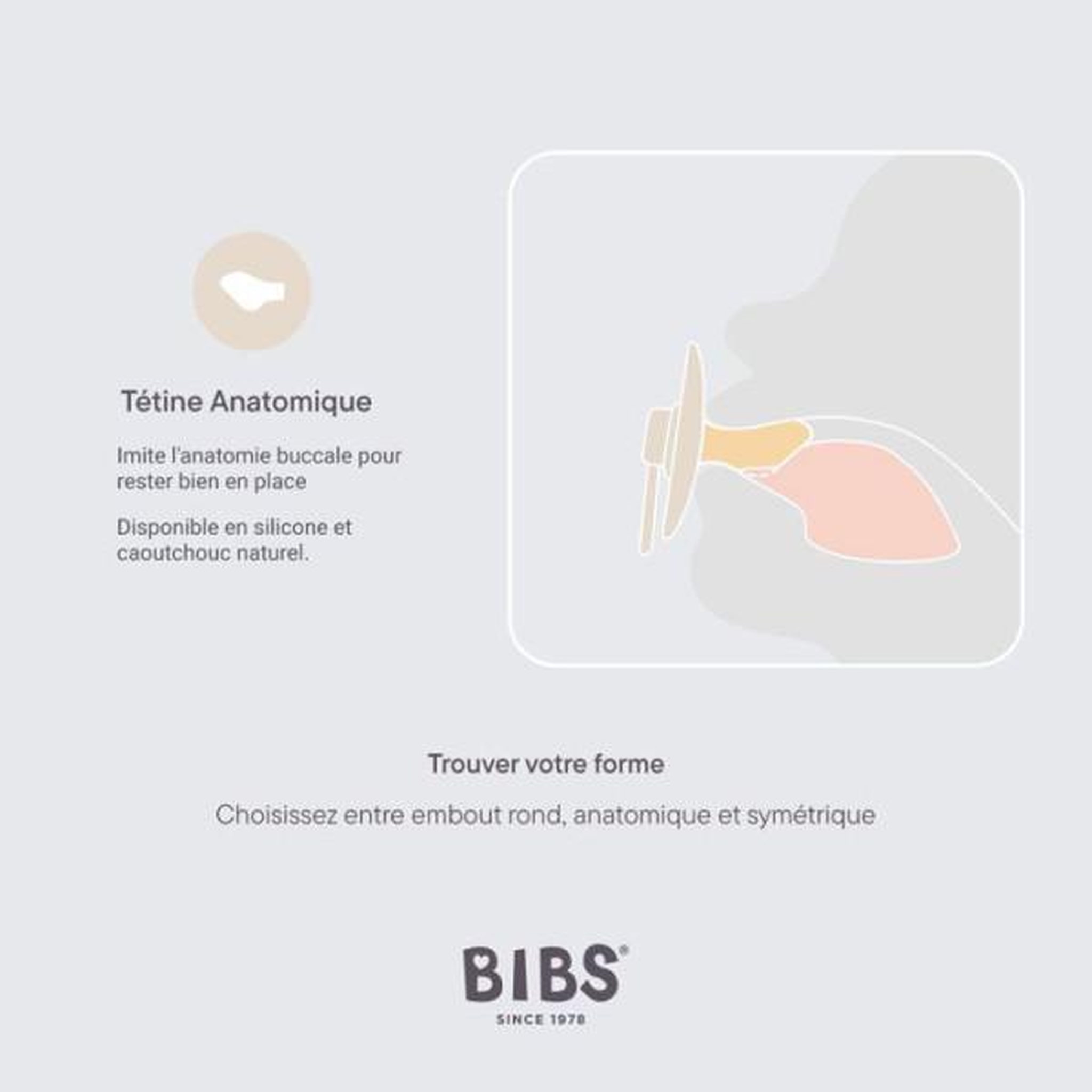 Voir la diapositive 3 : BIBS Sucette bébé - BIBS - Colour - Embout anatomique - Pack de 2 - Caoutchouc naturel - Taille 1 Blush Woodchuck