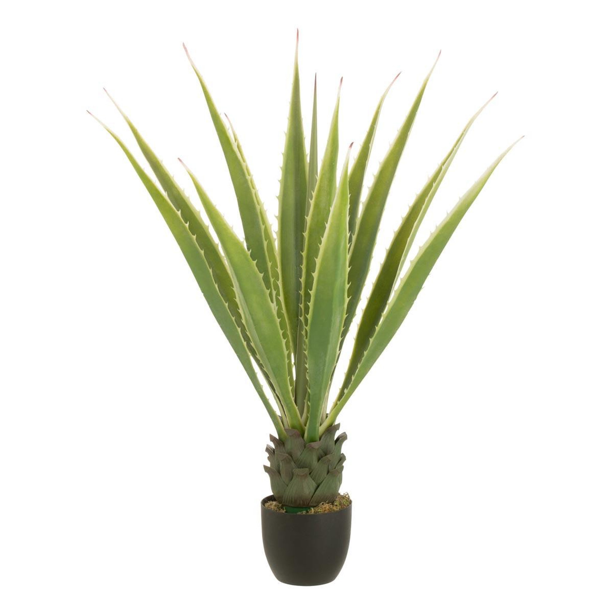 J-LINE Plante artificielle en pot  agave  115cm vert