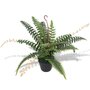 VIDAXL Plante artificielle avec pot Fougere 50 cm Vert