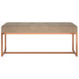 Voir la diapositive 3 : VIDAXL Banc Beige 110x36x45 cm Velours
