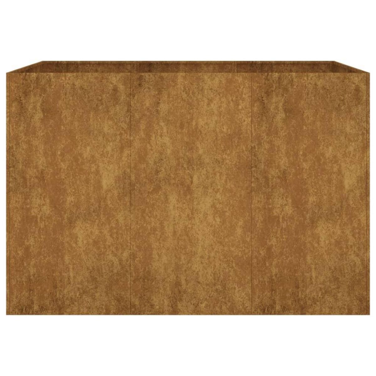VIDAXL Lit sureleve de jardin 120x80x80 cm acier corten