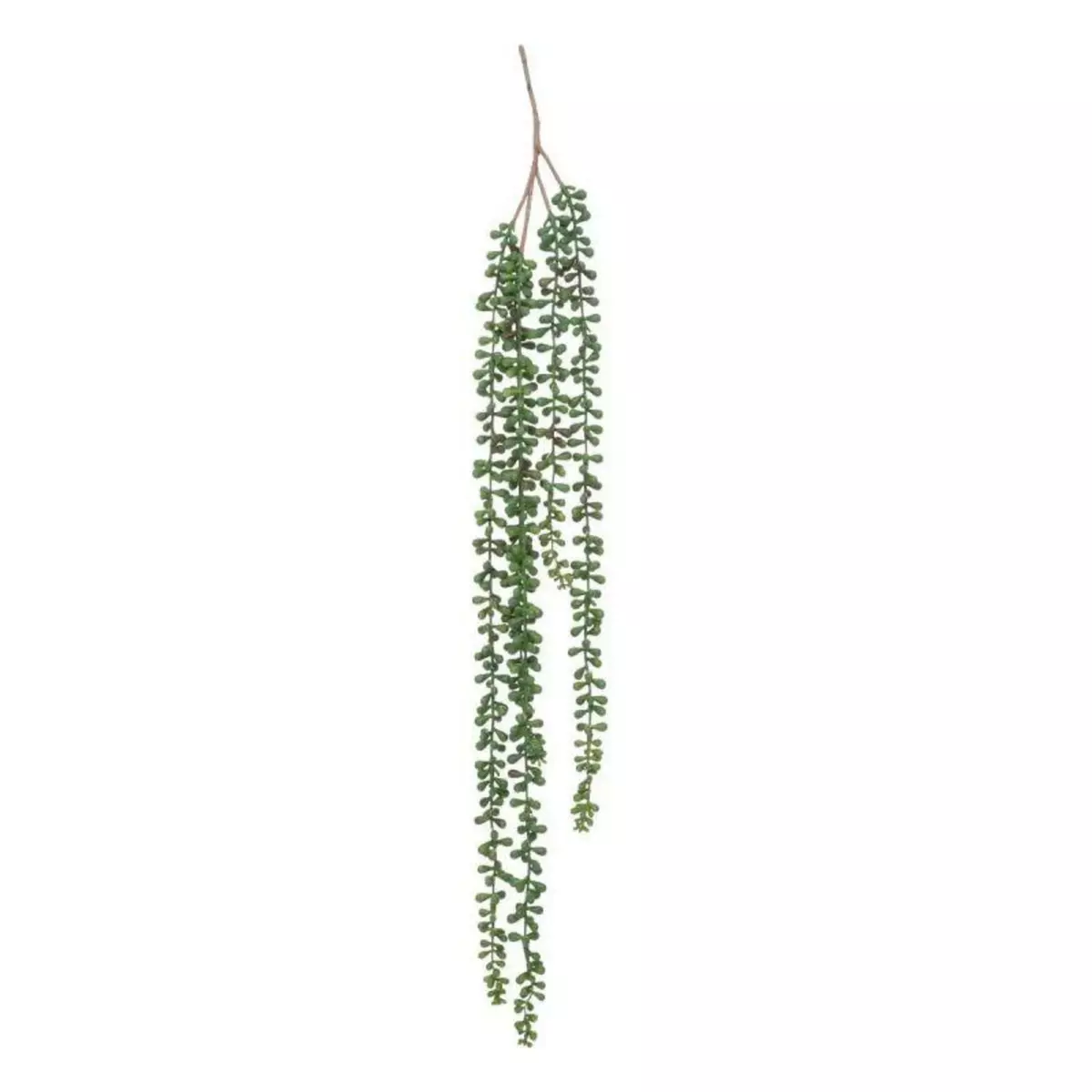  Plante Tombante Déco  Séneçon  37cm Vert