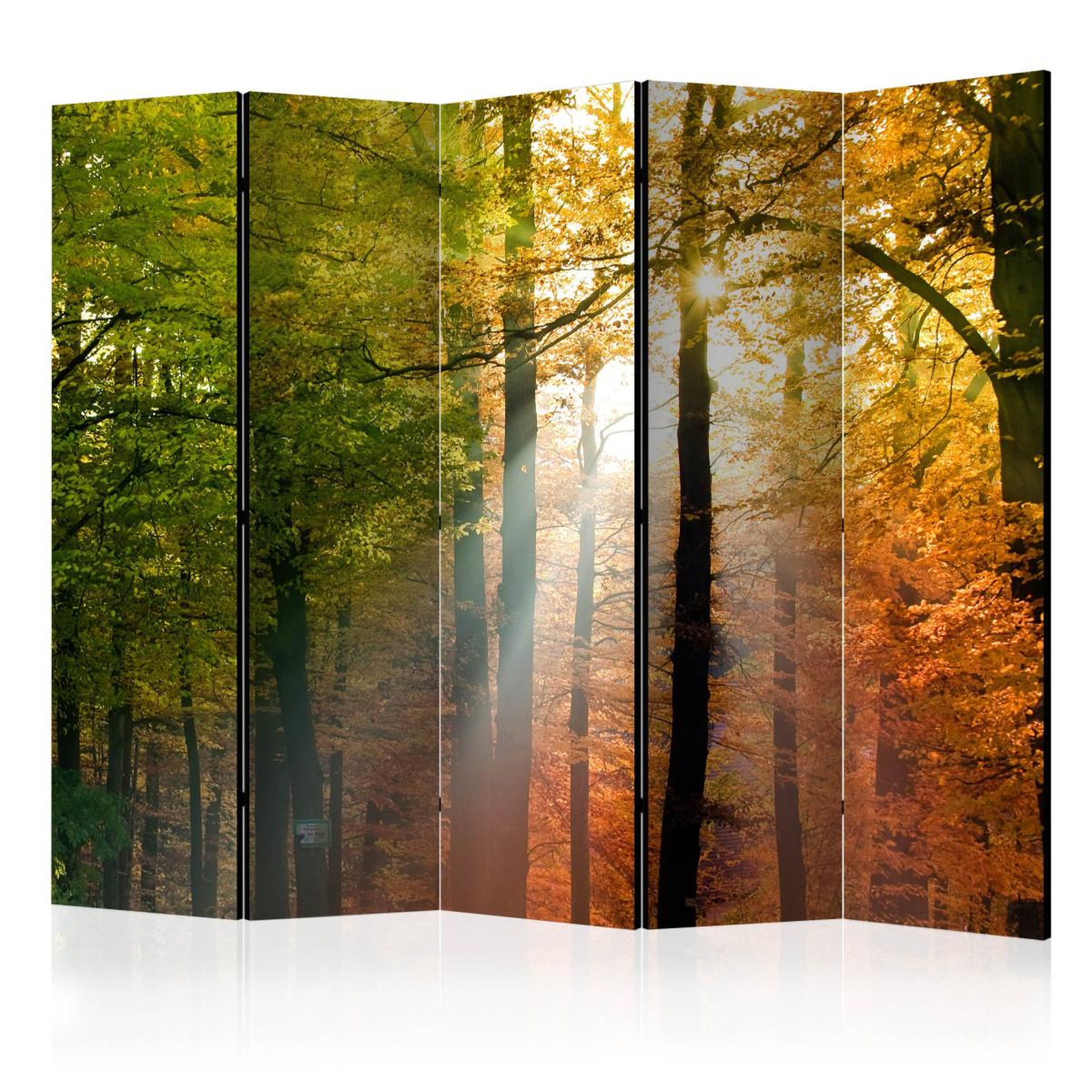 Paris Prix Paravent 5 volets  forest colours  172x225cm