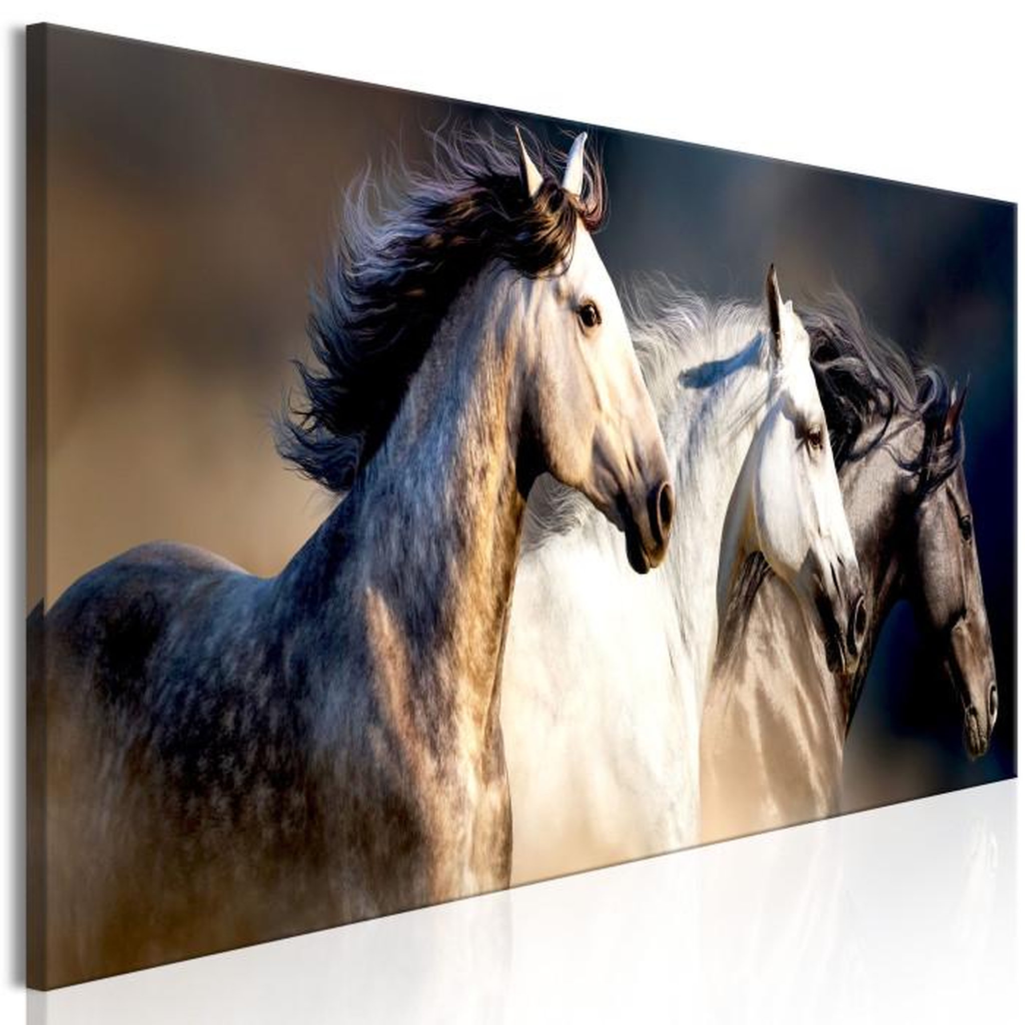Paris Prix Tableau Imprimé  Sons of the Wind Narrow. Coloris disponibles : Multicolore