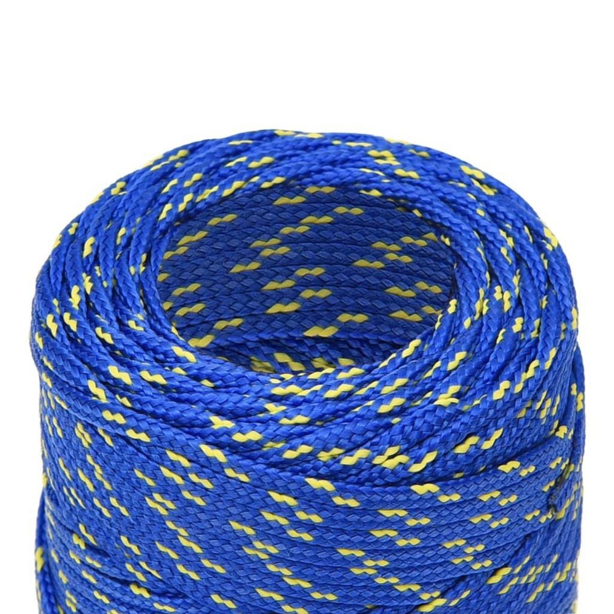VIDAXL Corde de bateau Bleu 2 mm 100 m Polypropylene