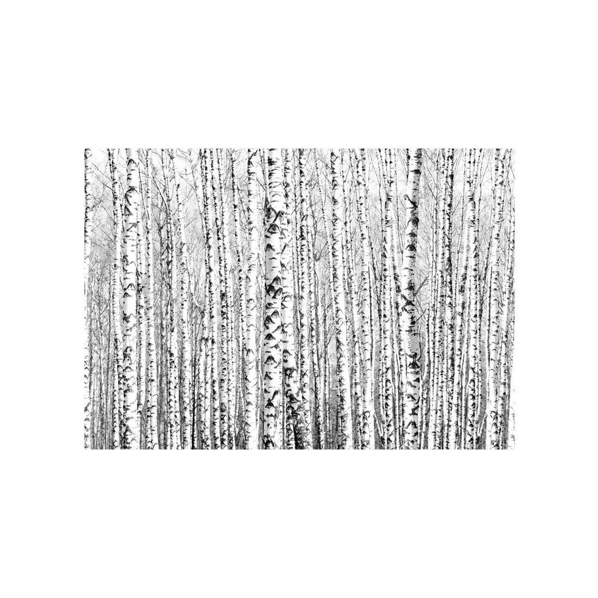 Voir la diapositive 2 : Paris Prix Papier Peint  Birch Forest