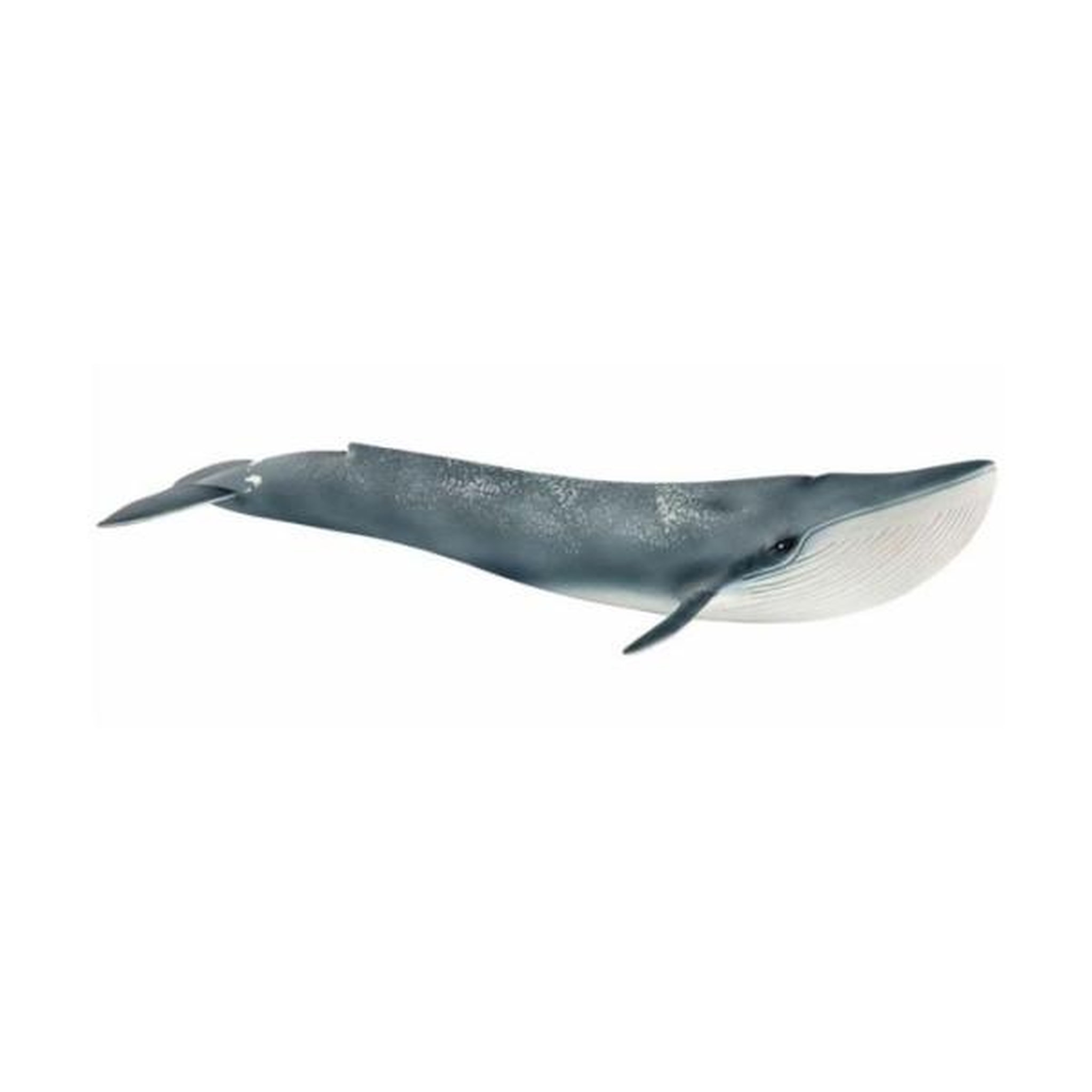 Schleich Figurine Baleine bleue, jouet détaillé, Schleich 14806 Wild Life, des 5 ans