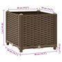 Voir la diapositive 6 : VIDAXL Lit sureleve 40x40x38 cm Polypropylene