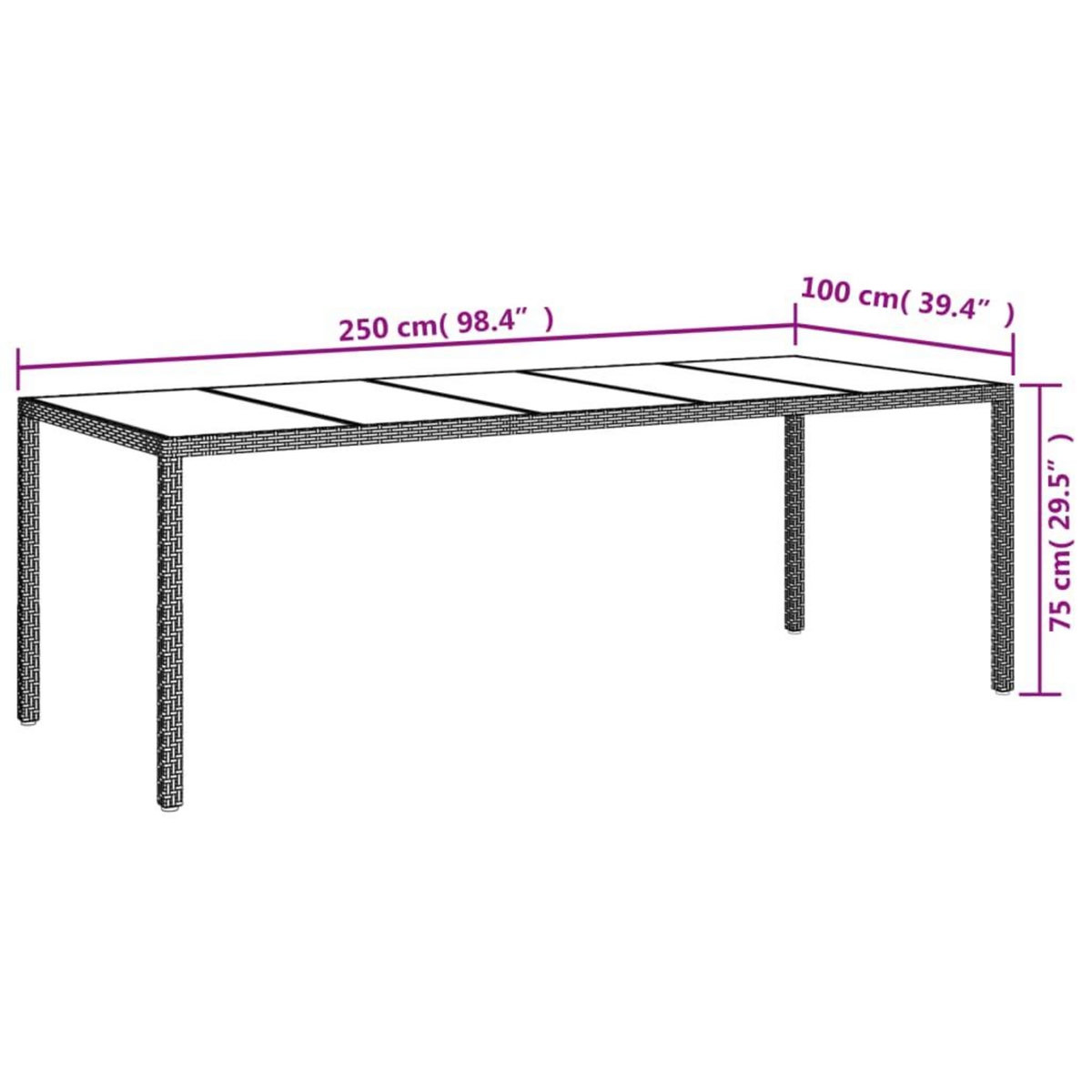 VIDAXL Table de jardin gris 250x100x75 cm Verre trempe et poly rotin