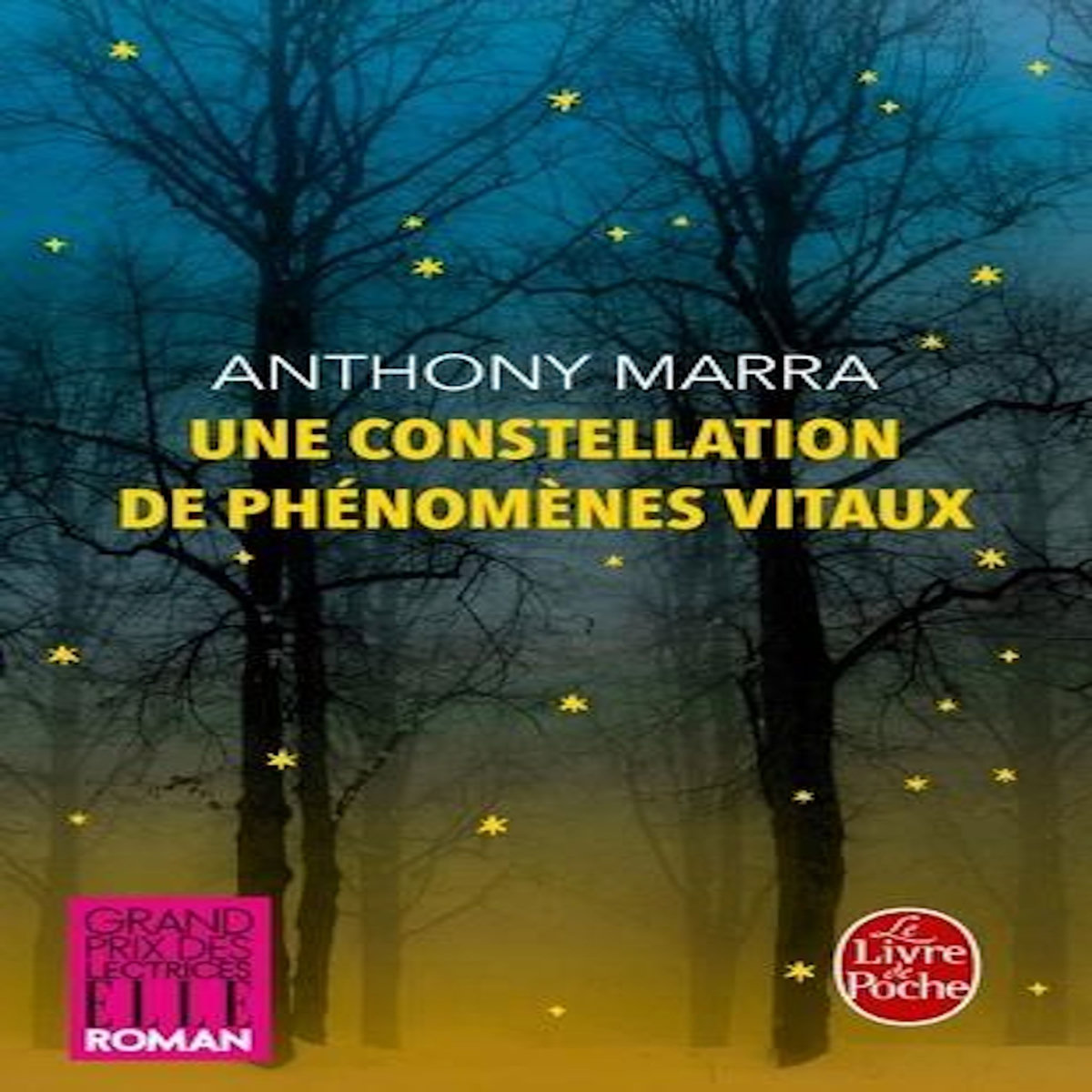 UNE CONSTELLATION DE PHENOMENES VITAUX, Marra Anthony