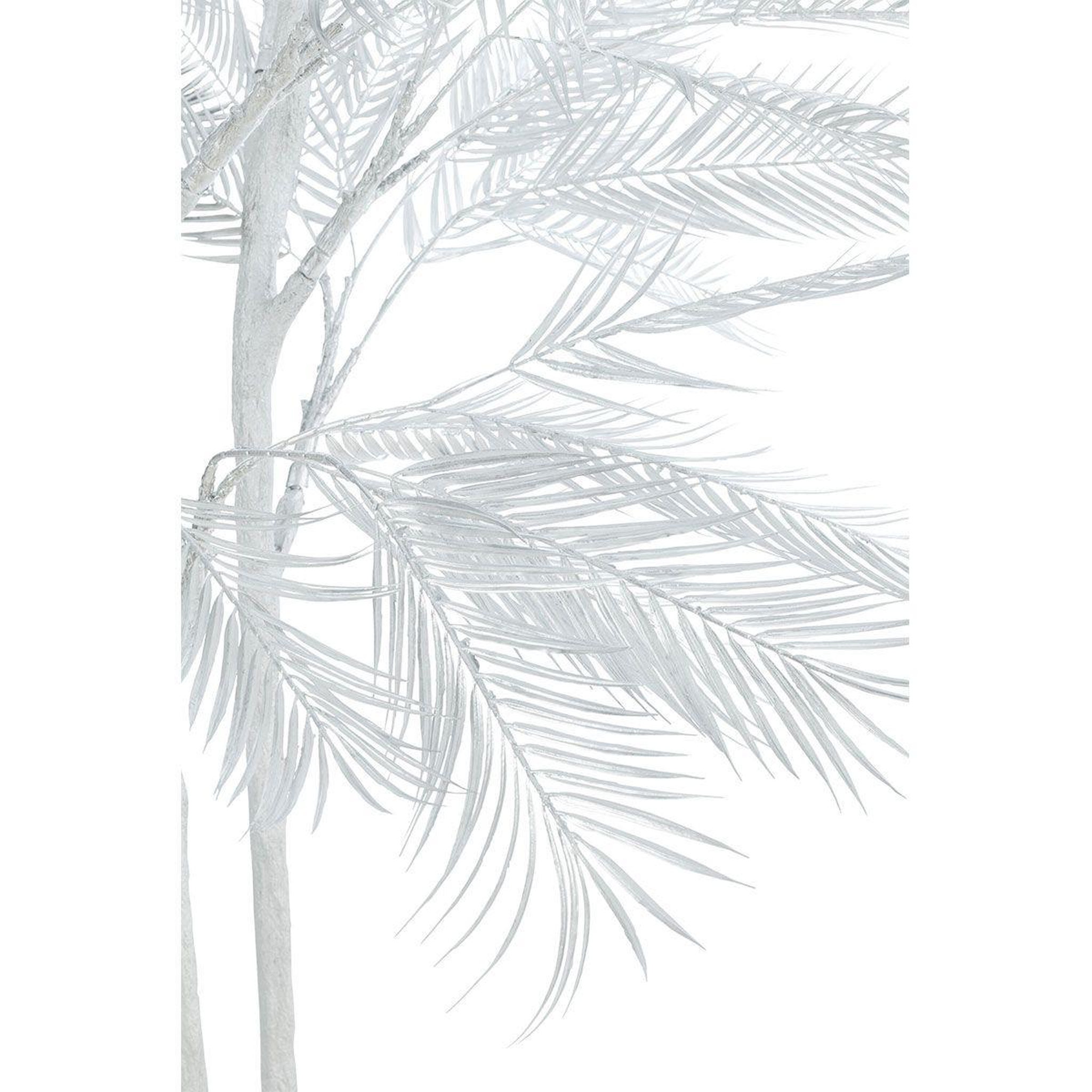 Voir la diapositive 3 : J-LINE Arbre déco en métal  palmier  250cm argent