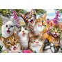 Voir la diapositive 1 : Schmidt Puzzle 500 pièces : Selfie de chats