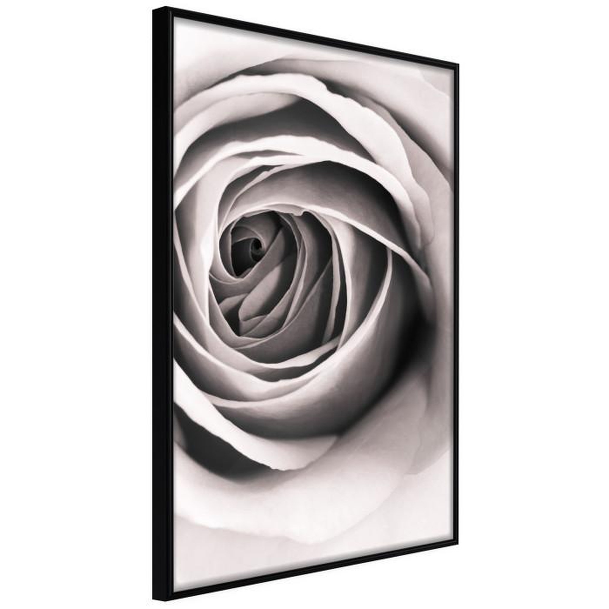 Paris Prix Affiche Murale Encadrée  Structure of Petals. Coloris disponibles : Noir, Jaune