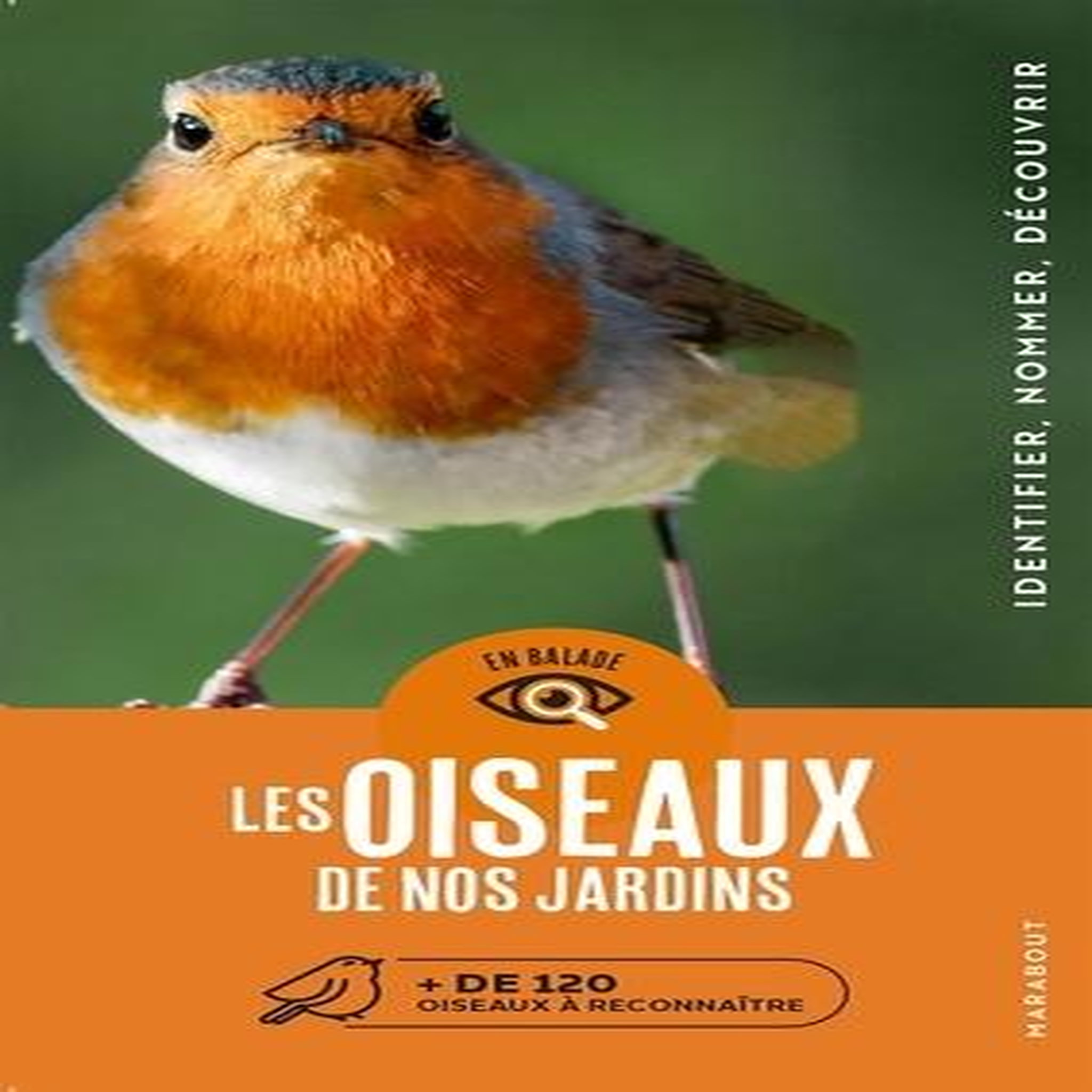 LES OISEAUX DE NOS JARDINS. + DE 120 OISEAUX A RECONNAITRE, Dierschke Volker