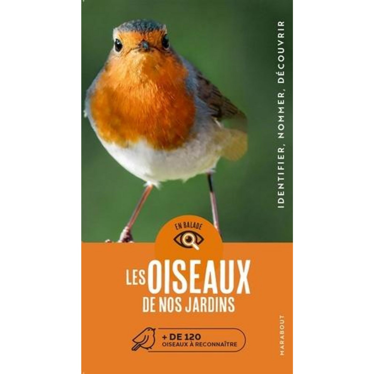 LES OISEAUX DE NOS JARDINS. + DE 120 OISEAUX A RECONNAITRE, Dierschke Volker
