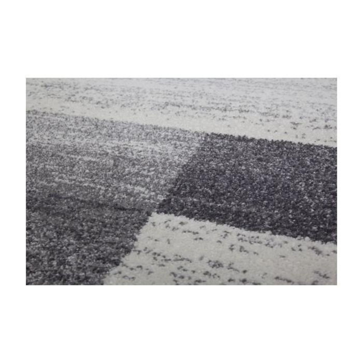 Paris Prix Tapis à Poils Courts Tissé  Falkland  Argent